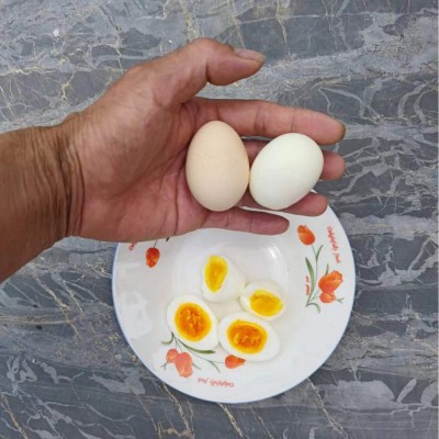 皖南土鸡蛋农家散养鸡蛋月子蛋辅食蛋现捡新鲜母鸡初生蛋批发图3