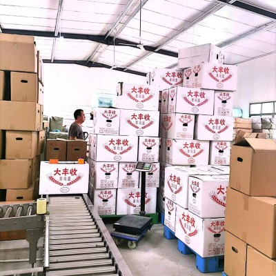 福建散养玉米土鸡蛋新鲜营养柴草鸡蛋新鲜山地生态土鸡蛋供应销售图4