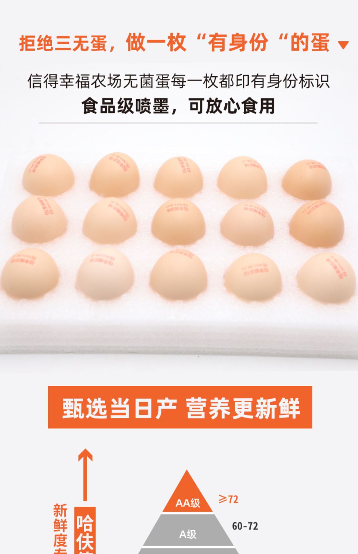 详情图片_12.jpg