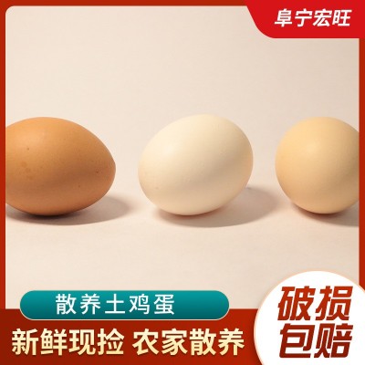 正宗农村土鸡蛋整箱鸡蛋新鲜柴鸡蛋农家散养草鸡蛋图5