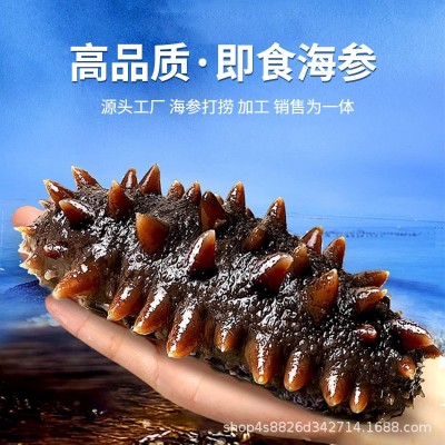 国足男足同款即食海参大连海参工厂直供海参礼盒淡干海参源头发货图3
