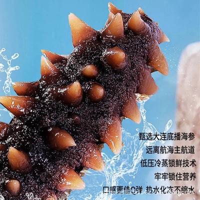 即食海参SC源头工厂批发大连即食海参厂家直供一件代发 批发分销图2