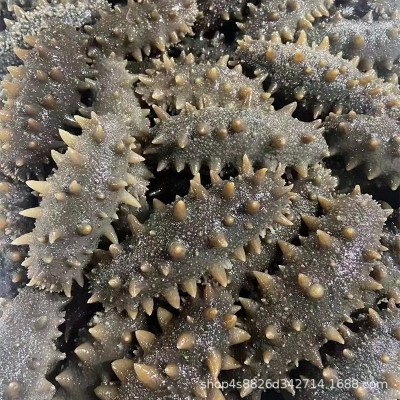 即食海参SC源头工厂批发大连即食海参厂家直供一件代发 批发分销图3