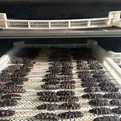 海参串烧烤海参串即食海参烧烤专供工厂直发一件代发烧烤海参专用图2