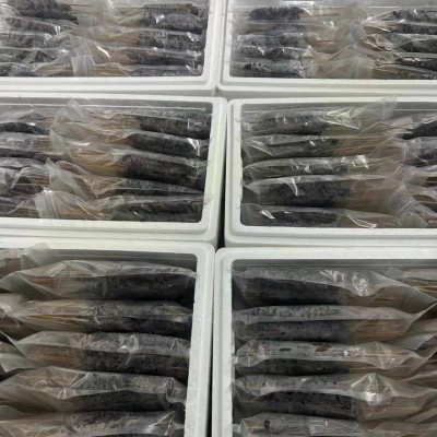 海参串烧烤海参串即食海参烧烤专供工厂直发一件代发烧烤海参专用图3
