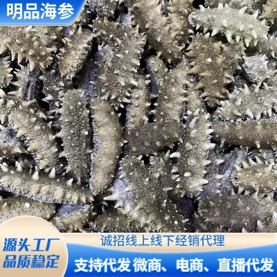 厂家批发代发大连底播FD冻干海参干海参冷水泡发直播代发图3
