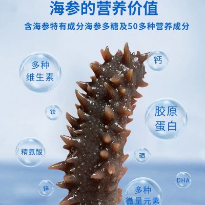 厂家批发代发大连底播FD冻干海参干海参冷水泡发直播代发图4