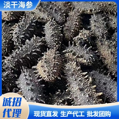 大连底播淡干海参50g 非即食家用散装海参干货 厂家批发直播代发图2