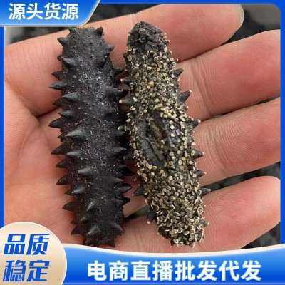 大连底播淡干海参50g 非即食家用散装海参干货 厂家批发直播代发图3