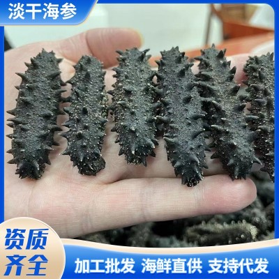 大连底播淡干海参50g 非即食家用散装海参干货 厂家批发直播代发图4