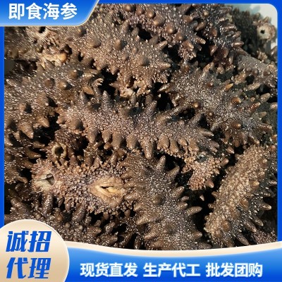 工厂批发代发大连海参即食鲜食海参单个装辽参刺参500g开袋即食图3