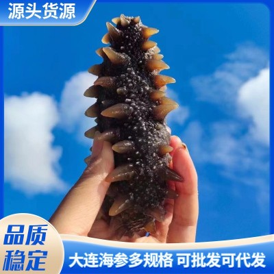 工厂批发代发大连海参即食鲜食海参单个装辽参刺参500g开袋即食图2