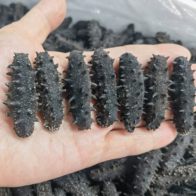工厂货源 纯淡干海参干货批发大连特产礼盒干制辽参水产大连海参图5