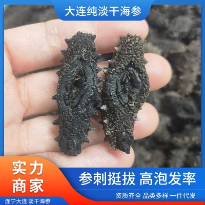 大连纯淡干海参干货批发大连特产礼盒干制辽参水产大连海参