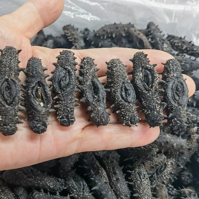 纯淡干海参辽宁大连干货批发大连特产礼盒干制辽参水产海参500g图4