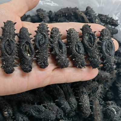 纯淡干海参辽宁大连干货批发大连特产礼盒干制辽参水产海参500g图5