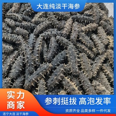 纯淡干海参辽宁大连干货批发大连特产礼盒干制辽参水产海参500g