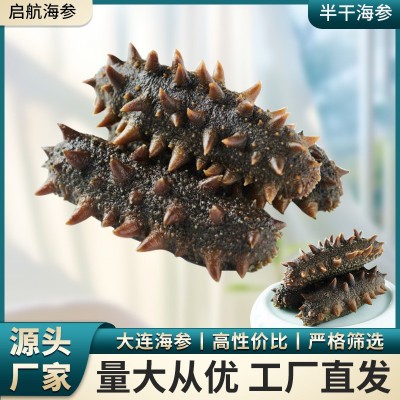 大连半干小火海参原产地批发非干货拉缸盐辽刺参可食用一件代发图1