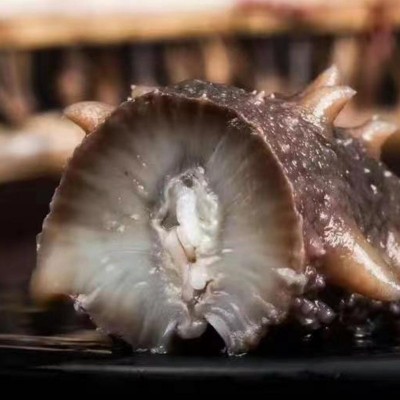 鲜食即食大连海参正宗刺参鲜活海叁干货可礼盒装即食海参500g图2