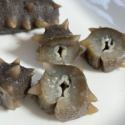 海参即食正宗刺参大连新鲜活海叁辽参干货可礼盒深海底播海参500g图3