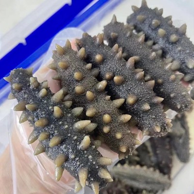 海参即食正宗刺参大连新鲜活海叁辽参干货可礼盒深海底播海参500g图4