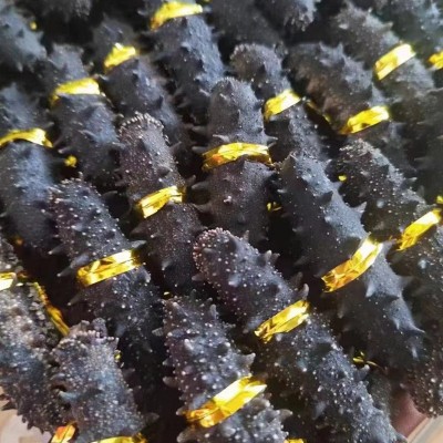 大连淡干海参干货50g辽刺参非即食散装海参礼盒装海鲜水产辽参图2