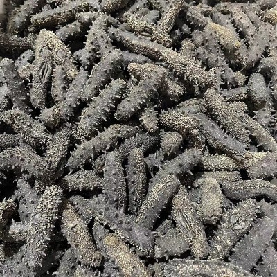 大连淡干海参干货50g辽刺参非即食散装海参礼盒装海鲜水产辽参图4