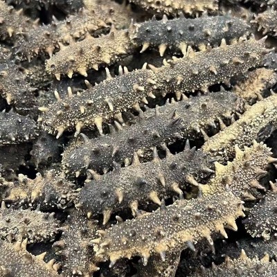 大连淡干海参干货50g辽刺参非即食散装海参礼盒装海鲜水产辽参图3
