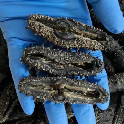 大连海参干货散装纯淡干批发散装工厂厂家50g一件代发非即食海参图2