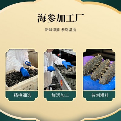 鼎鲜海参工厂大连即食海参深海辽刺参厂家批发直供支持一件代发图4