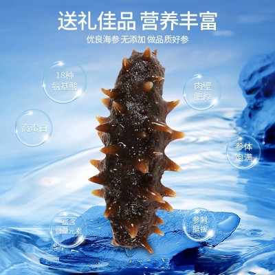 鼎鲜海参即食海参口感软弹大连海参辽刺参批发工厂一件代发孕妇图4