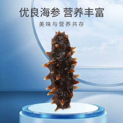 鼎鲜海参即食海参口感软弹大连海参辽刺参批发工厂一件代发孕妇图3