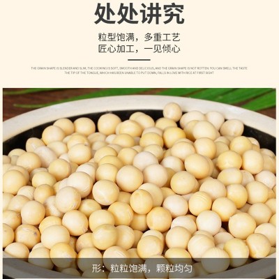 1.1kg罐装新货黄豆打豆浆专用发豆芽豆腐原料东北大豆一件代发图4
