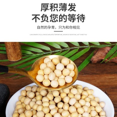 1.1kg罐装新货黄豆打豆浆专用发豆芽豆腐原料东北大豆一件代发图2