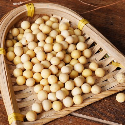 1.1kg罐装新货黄豆打豆浆专用发豆芽豆腐原料东北大豆一件代发图3