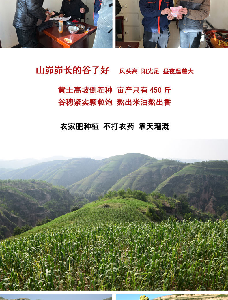 2020年新版详情页3_14.jpg
