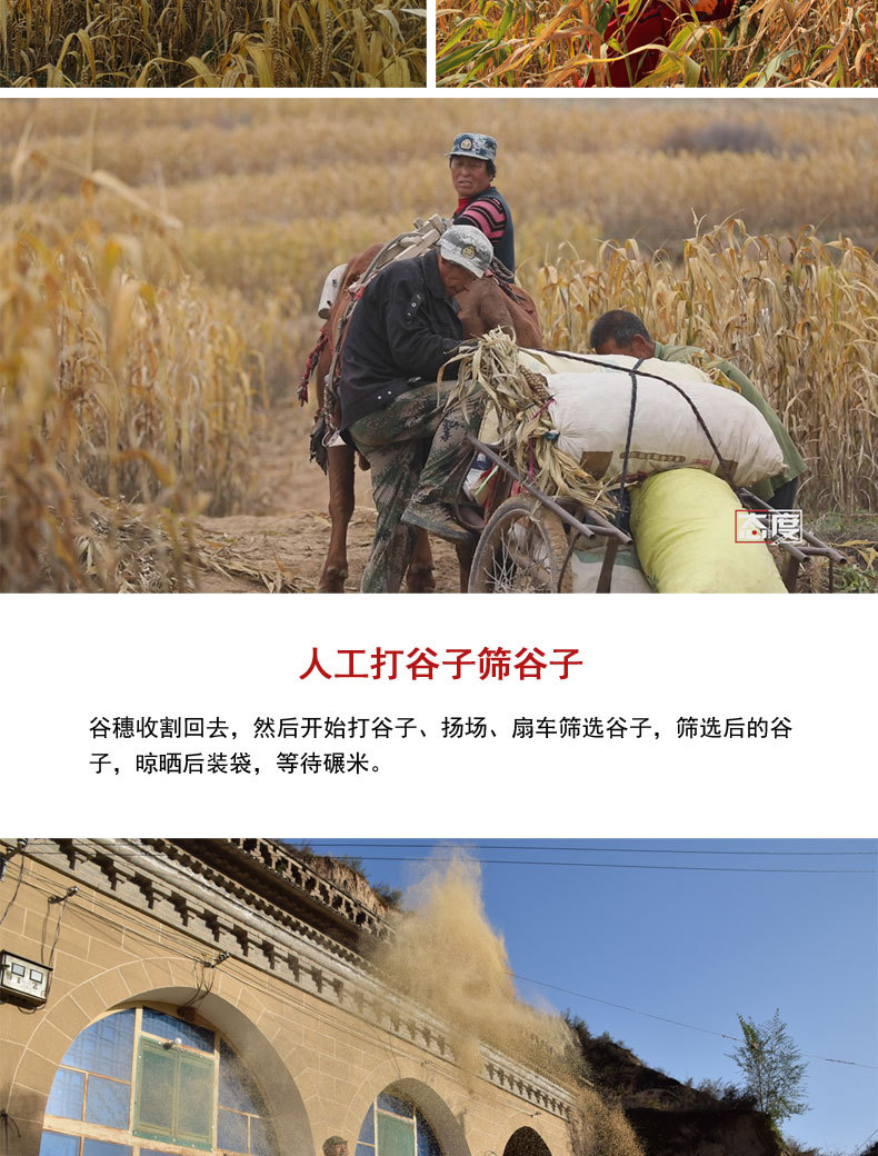 2020年新版详情页3-1_21.jpg