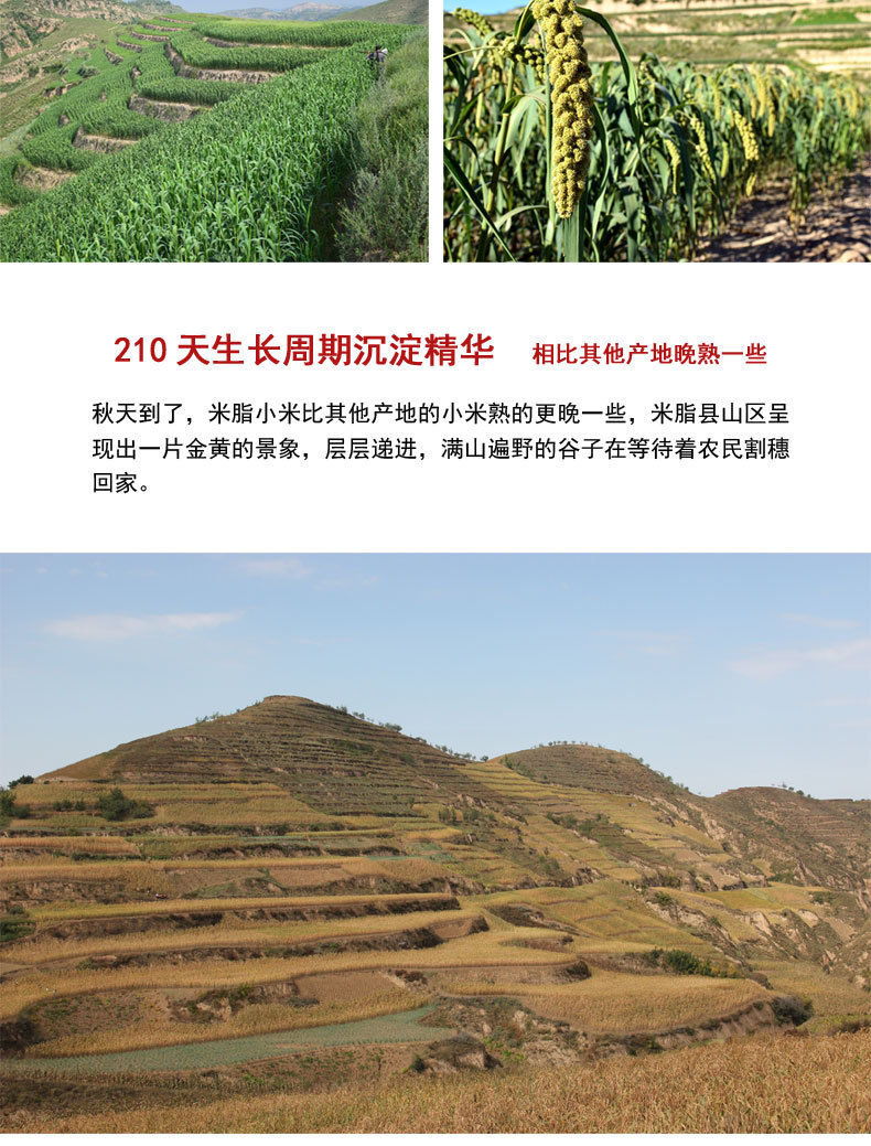 2020年新版详情页3_19.jpg