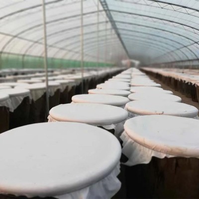 礼品盒（一箱2瓶装）山西苹果陈香醋鲜榨果汁发酵3年陈酿无添加剂图4