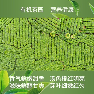 有机茶厂家批发有机红茶碎500g袋泡茶奶茶原料散装红茶碎原料批发图2