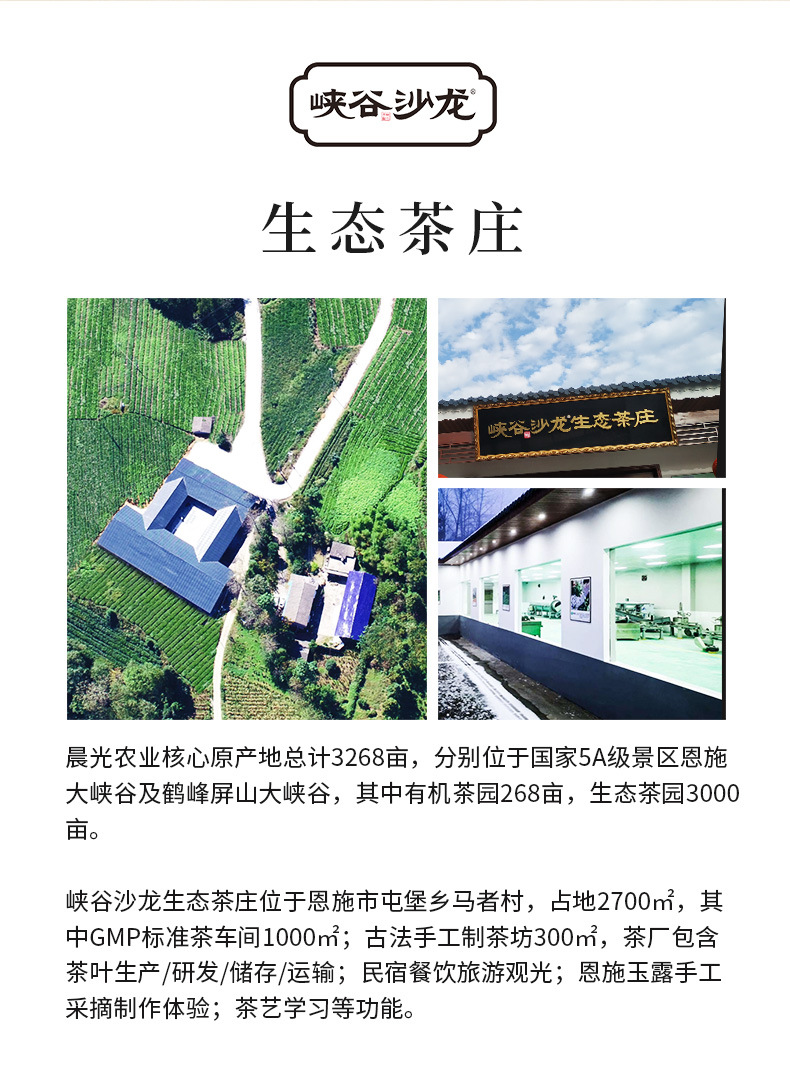 阿里-2019-恩施玉露003_14.jpg
