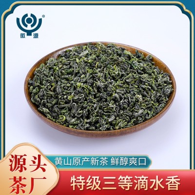歙县滴水香新茶绿茶散装批发安徽黄山雨前高山茶