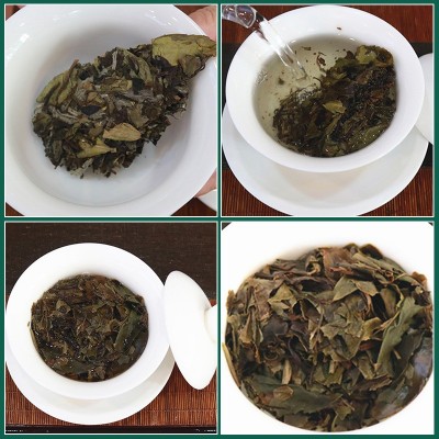 白牡丹  白茶福鼎福鼎老白茶茶饼正宗茶叶礼盒花香350g茶叶批发图3