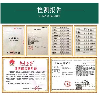 白牡丹  白茶福鼎福鼎老白茶茶饼正宗茶叶礼盒花香350g茶叶批发图2