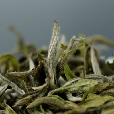 白牡丹散茶款高山老白茶500g现货款或整箱批发正宗 福鼎白茶图2