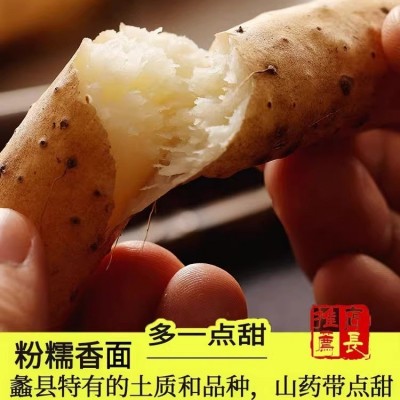 铁棍山药当季新鲜蔬菜批发非温县垆土淮怀山药铁杆5斤3斤河北保定