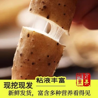 铁棍山药当季新鲜蔬菜批发非温县垆土淮怀山药铁杆5斤3斤河北保定图4