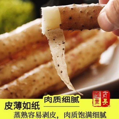 铁棍山药当季新鲜蔬菜批发非温县垆土淮怀山药铁杆5斤3斤河北保定图5