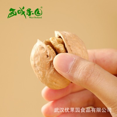 西域果园新疆纸皮核桃草本味礼盒装精选阿克苏185纸皮核桃零食图2