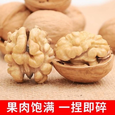 新疆185纸皮核桃阿克苏特产纸皮薄壳手捏核桃琥珀核桃仁坚果零食图4